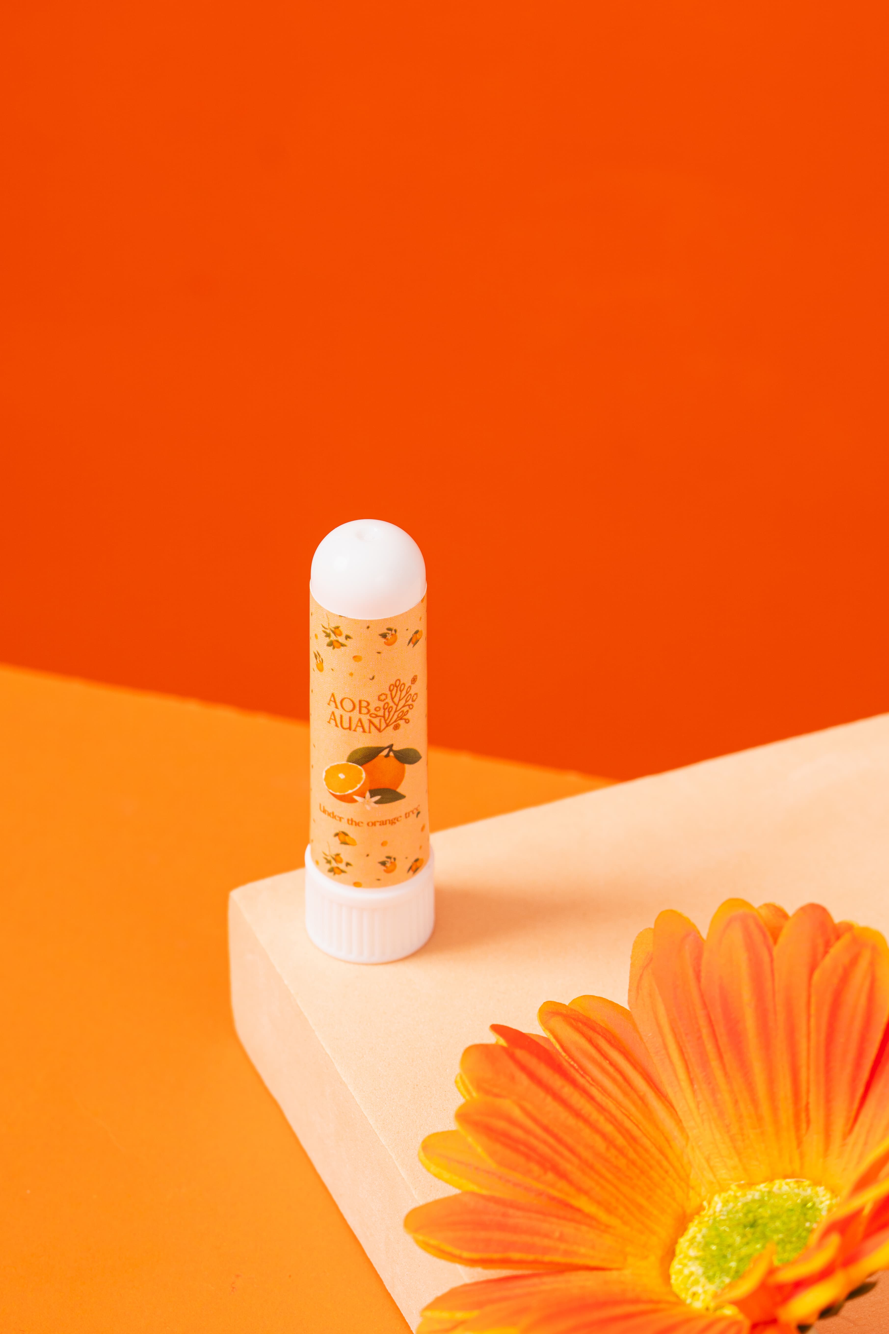 Image of Under the Orange Tree